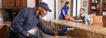 Professional Pest Control in Liberty City, TX